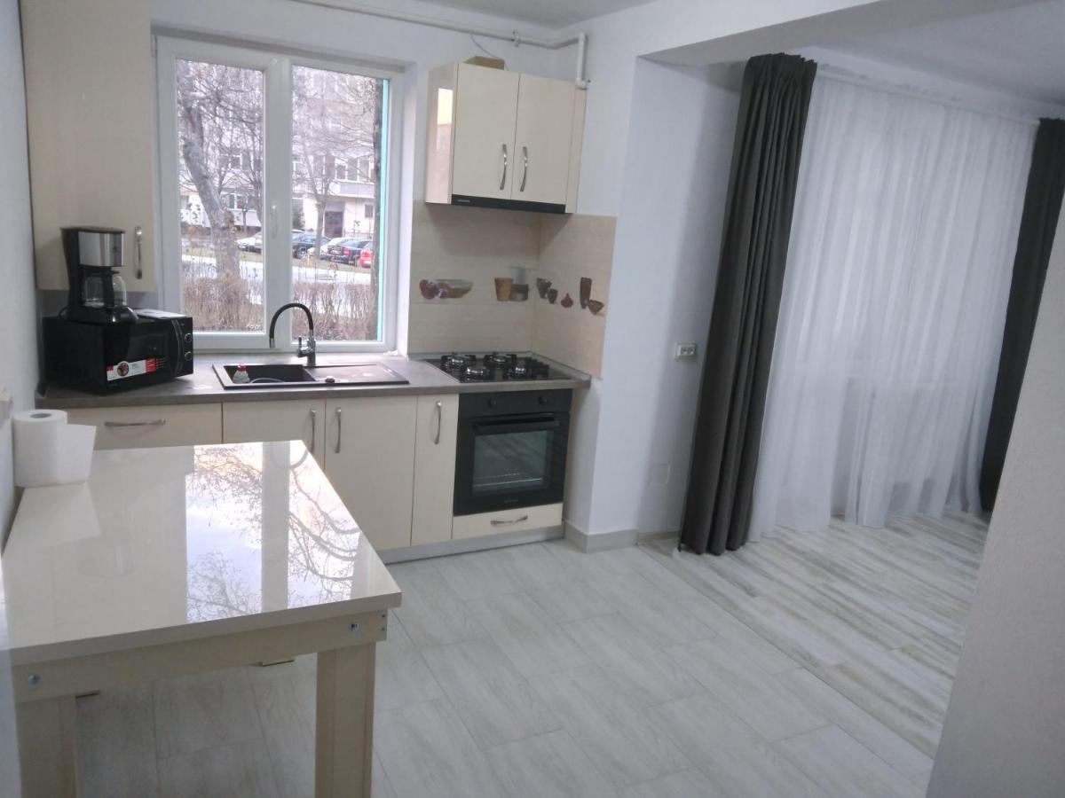 Luxury Apartament Curtea de Argeş Esterno foto